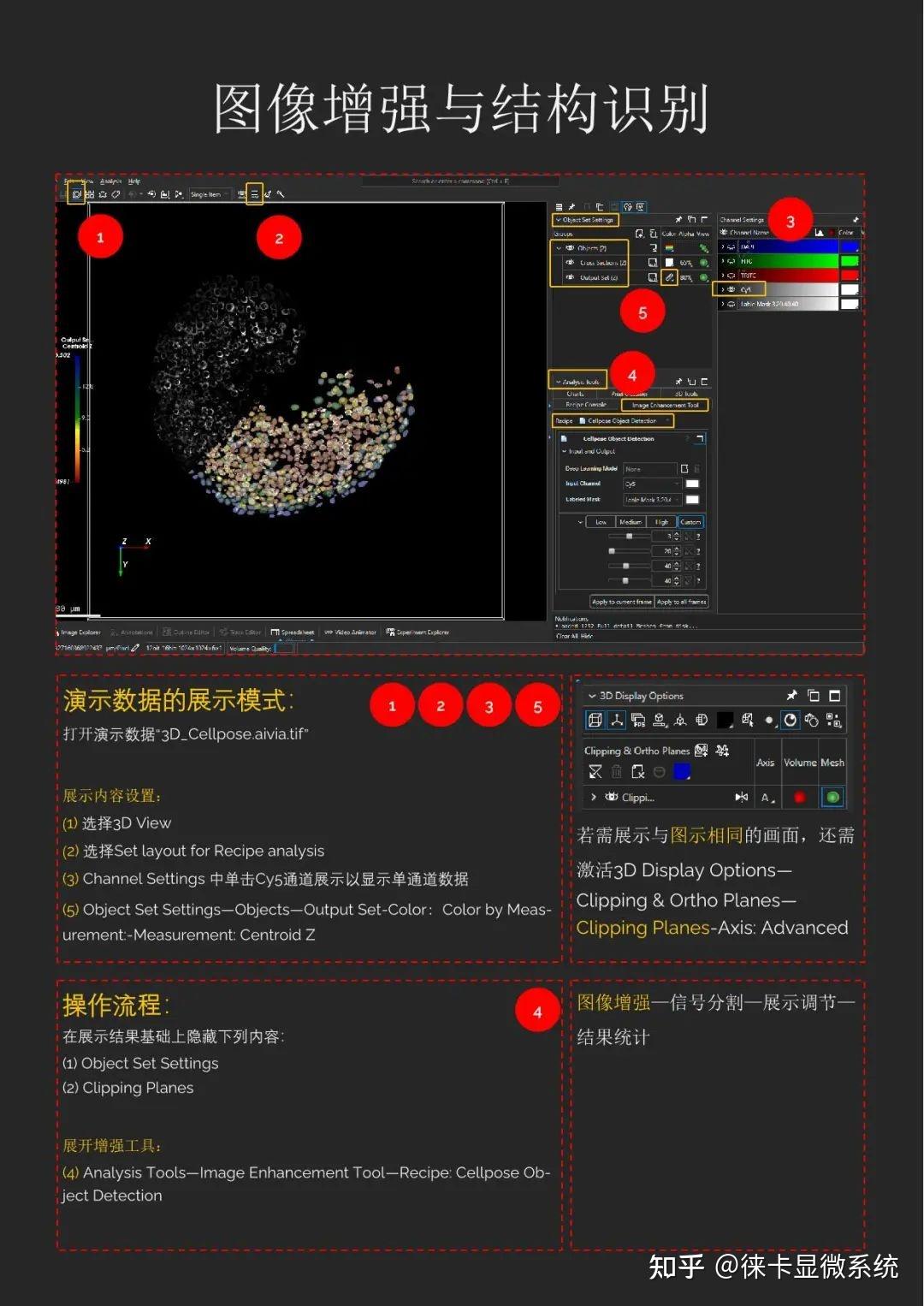 掌握Aivia！快速入门使用指南 - 知乎