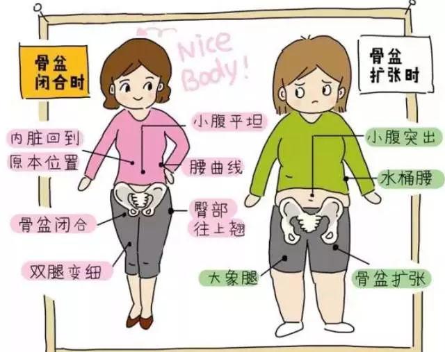 女性骨盆自测及保养全攻略 知乎