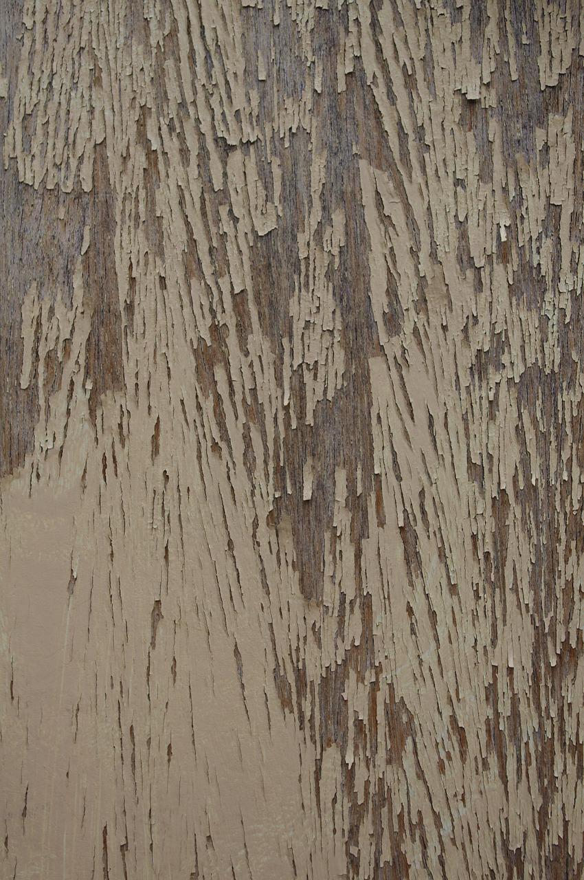 4. 橡胶霉斑去除术