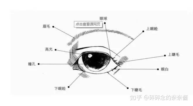 眼部審美標準篇——知道你的眼睛該如何改善嗎? - 知乎