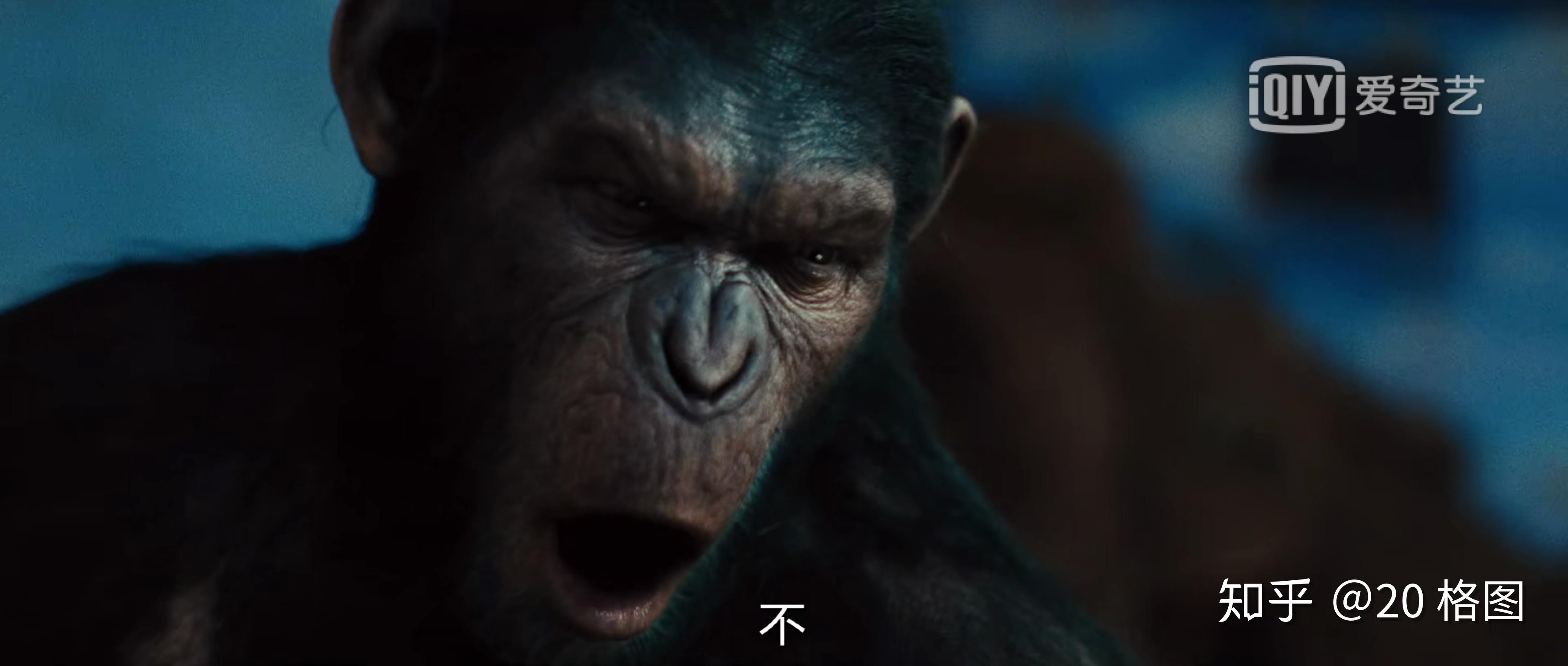 有没有因为一句台词而记住了一部电影