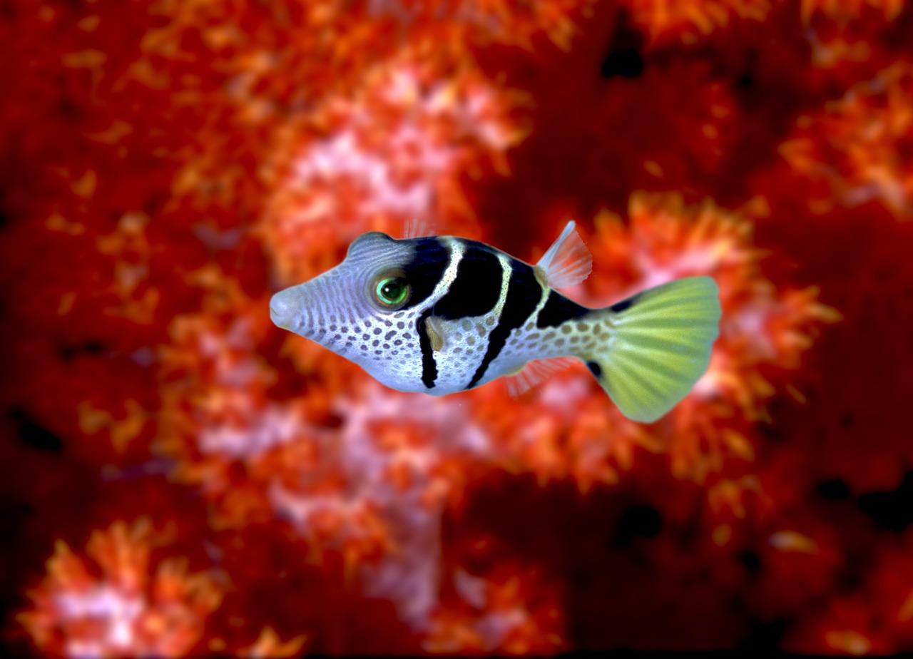 3. 交通出行便利