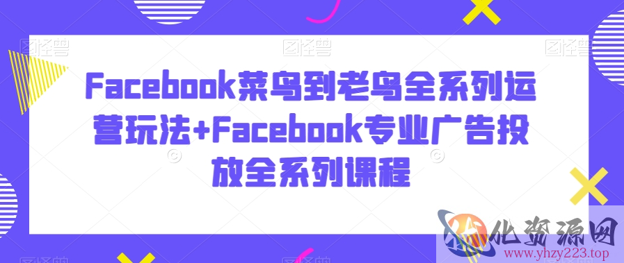 Facebook菜鸟到老鸟全系列运营玩法+Facebook专业广告投放全系列课程