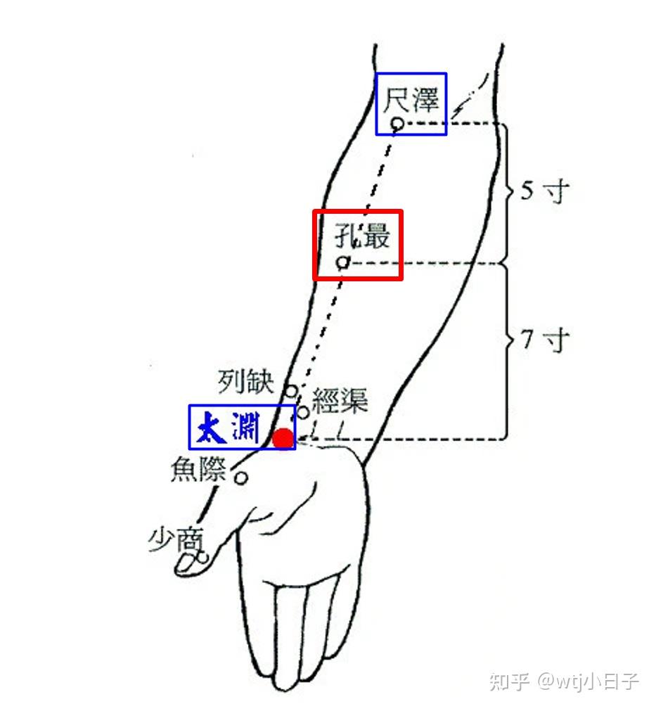 孔最穴太渊穴定位如下wtj小日子:太渊穴(位置)10 赞同 0 评论