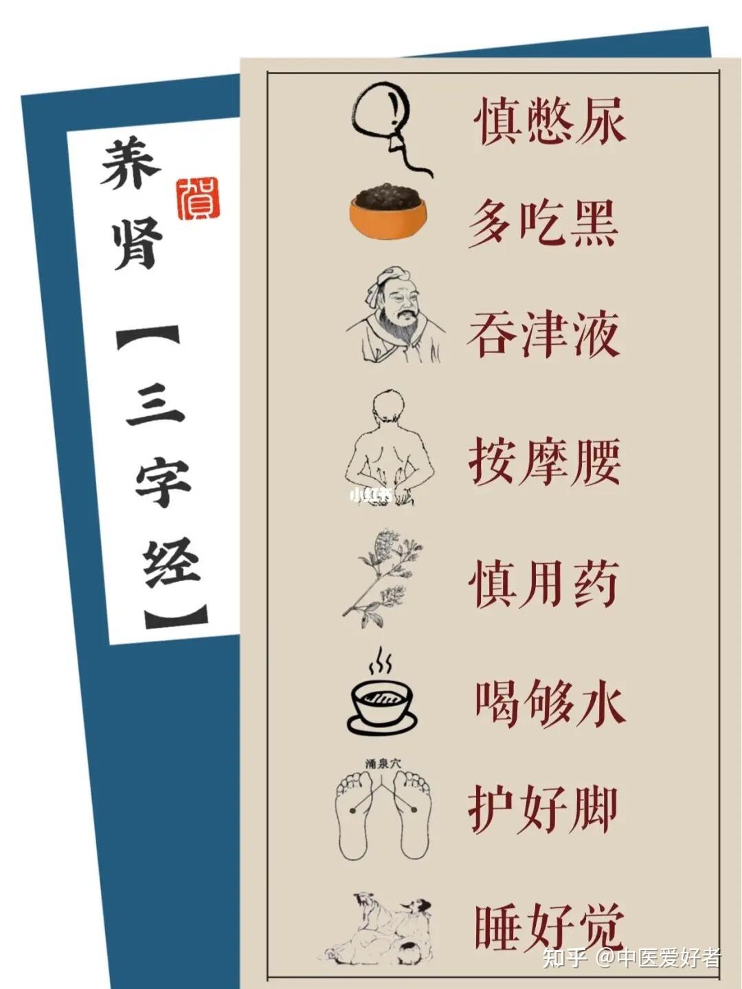 中医养肾 - 知乎