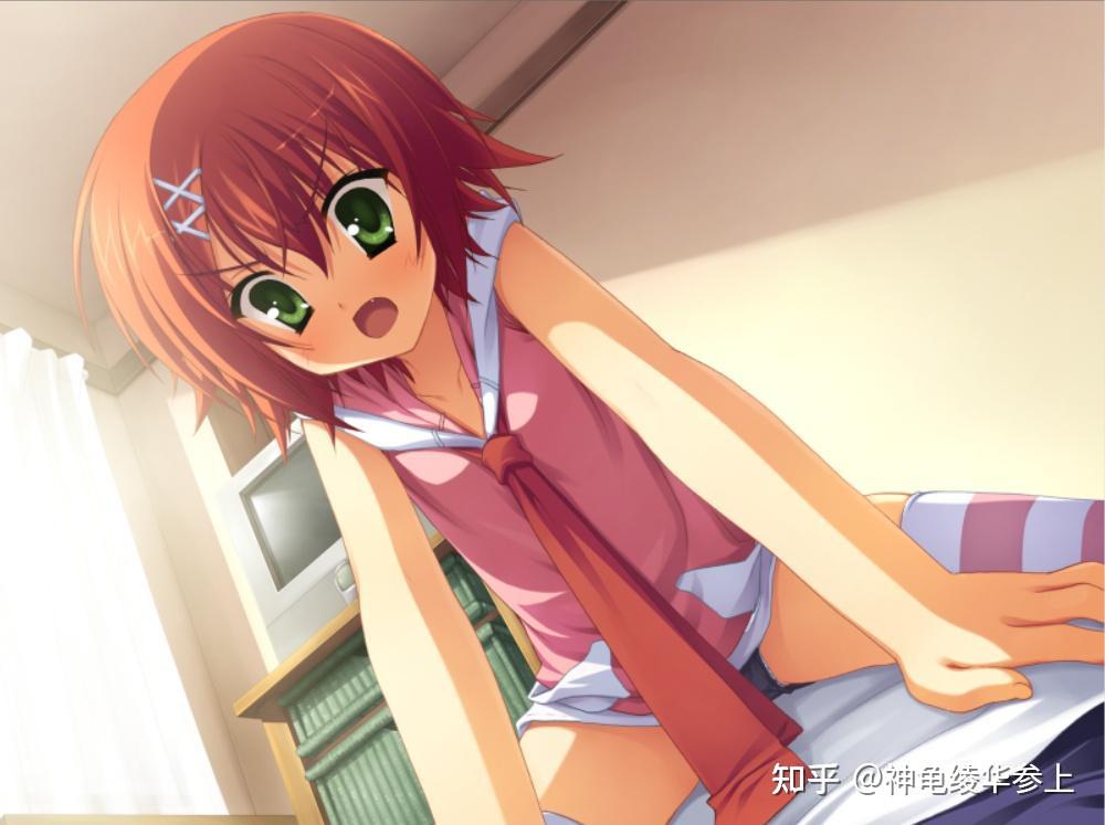 如何评价柚子社作品夏空彼方