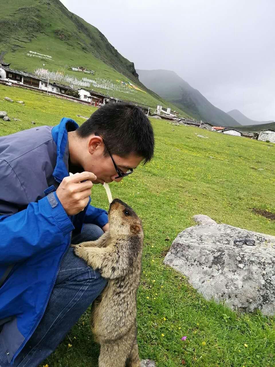 元旦三天假,有木有适合散心的地方,坐标成都?