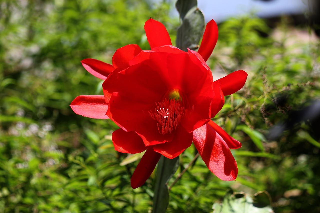 2. 节能改造秘籍