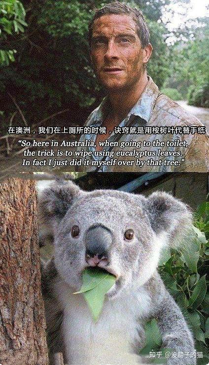 你有哪些让人一看就笑死的图片