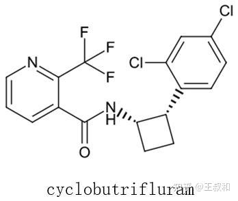 具有商业化前景的琥珀酸脱氢酶抑制剂（SDHI）类杀菌剂，王叔和一文说清楚 - 知乎