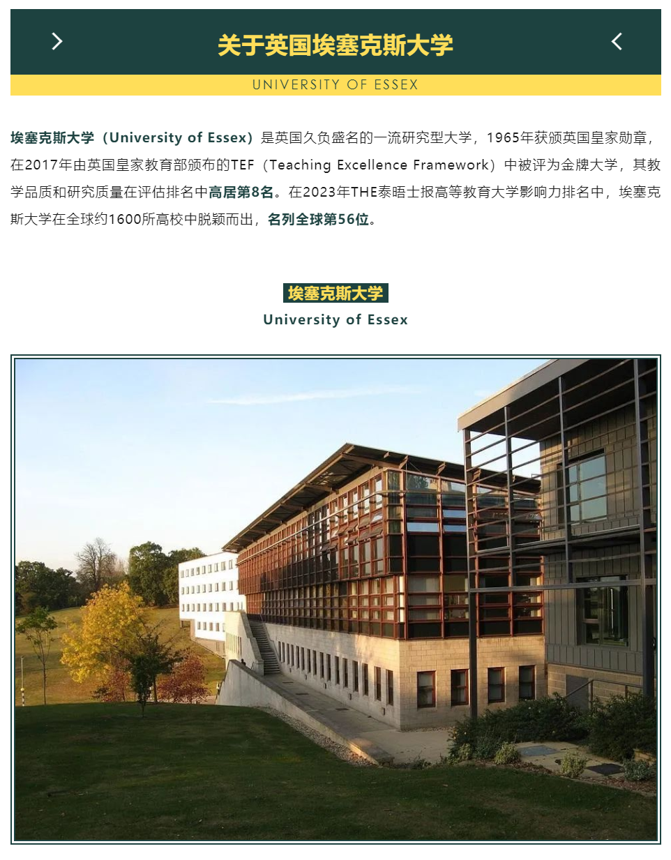 中华笔译大赛优胜选手专属offer埃塞克斯大学入学绿色通道11月等你