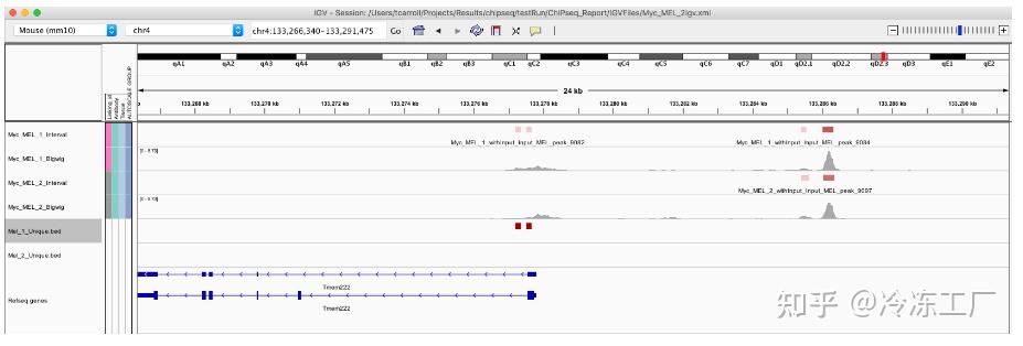 ChIP-seq 分析：Consensus Peaks（14） - 知乎