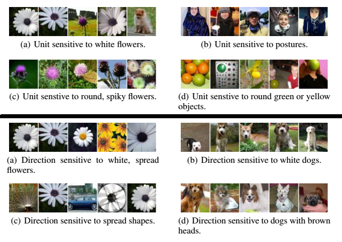 瞎谈CNN:通过优化求解输入图像 瞎谈CNN:通过优化求解输入图像