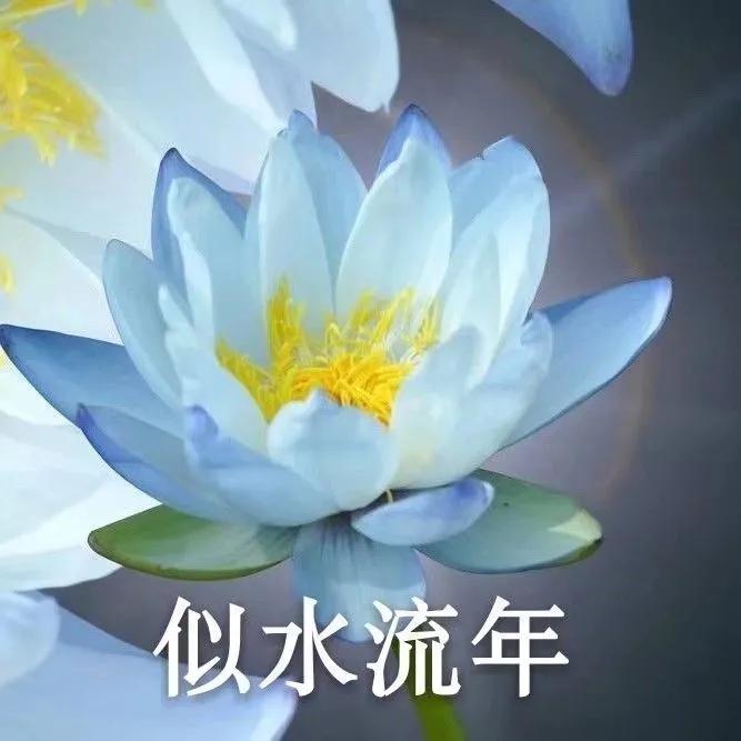 有哪些适合中老年人使用的微信头像? - 知乎