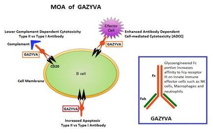 慢性淋巴细胞白血病治疗药物gazyvaobinutuzumab奥滨尤妥珠单抗