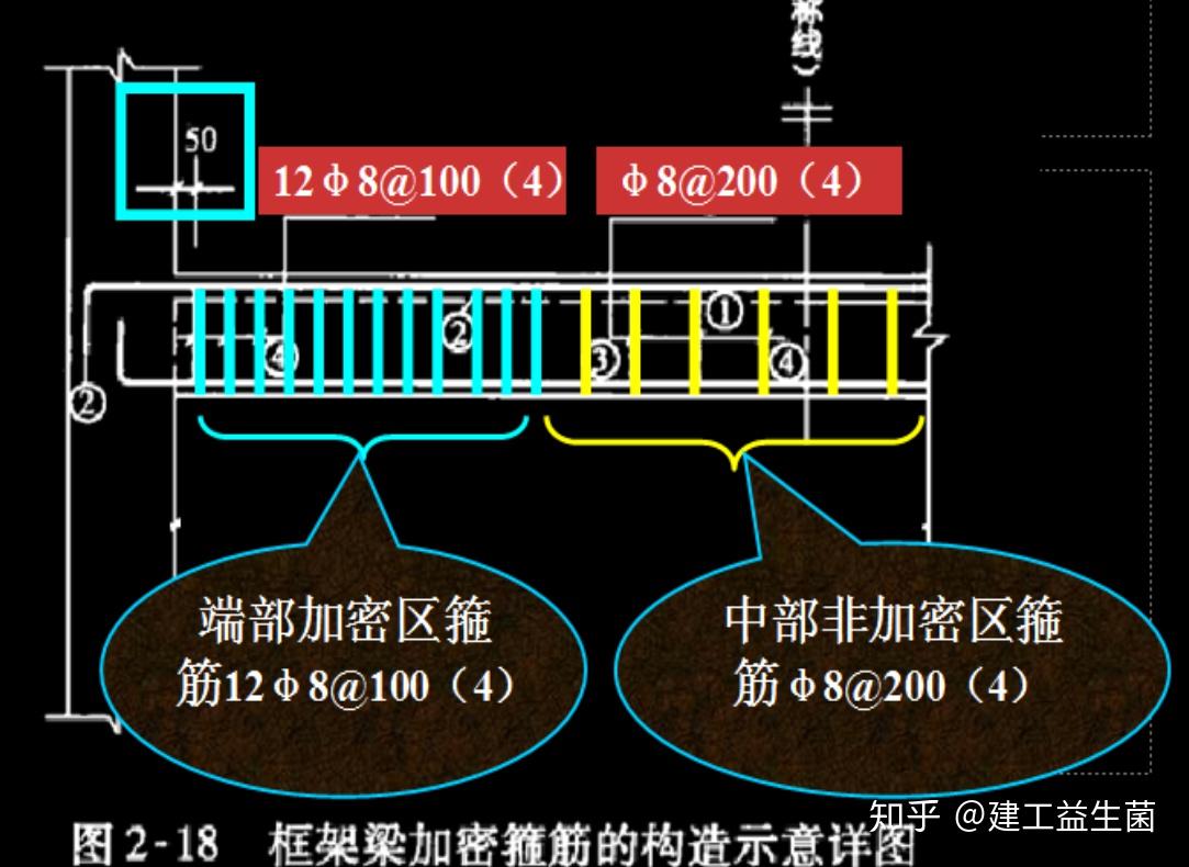 构造筋的位置图解图片