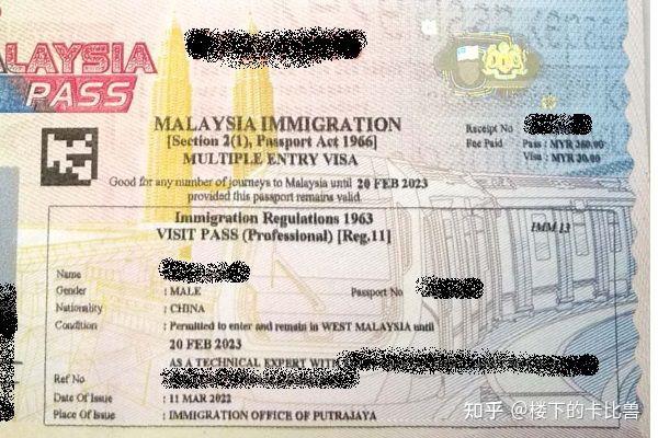 malaysia professional visit pass (pvp)