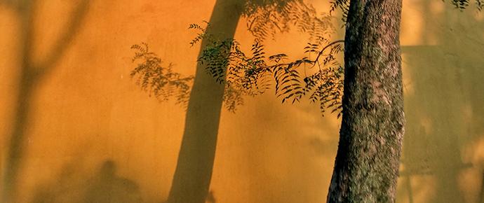 又可细分为前侧光,正侧光和侧逆光.