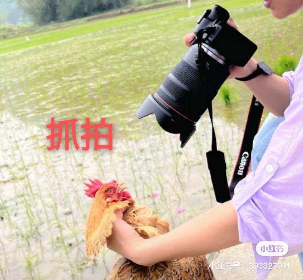 有哪些摄影圈可以用的表情包?