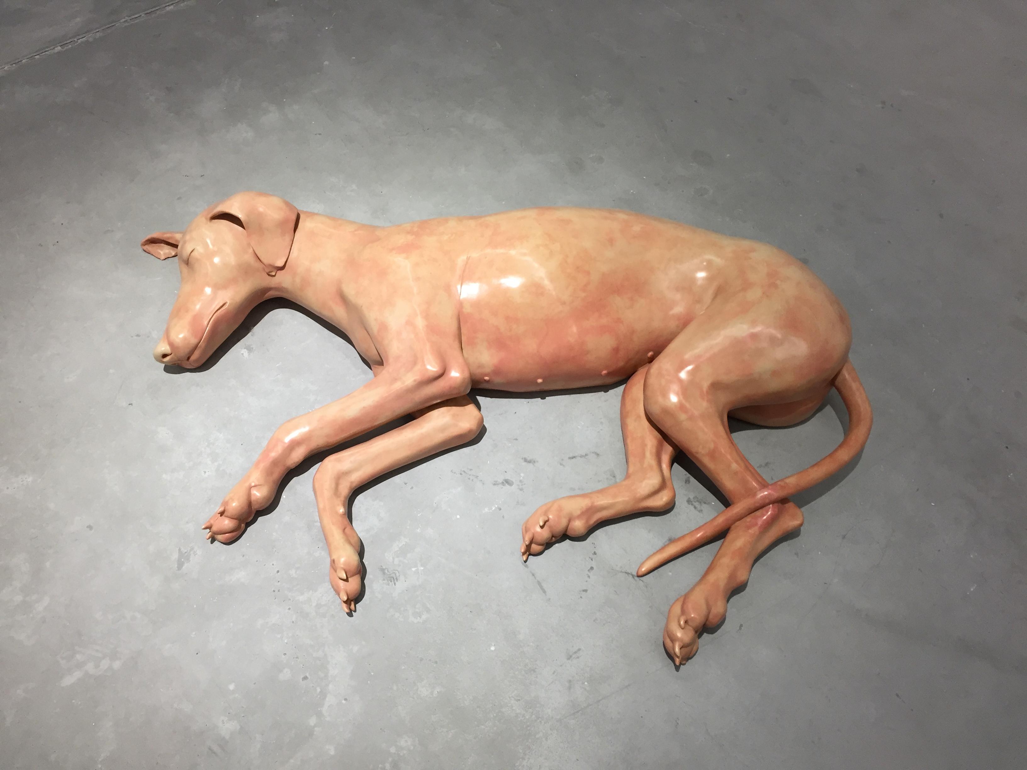 2016 向京个展——《唯不安者得安宁》 - 知乎