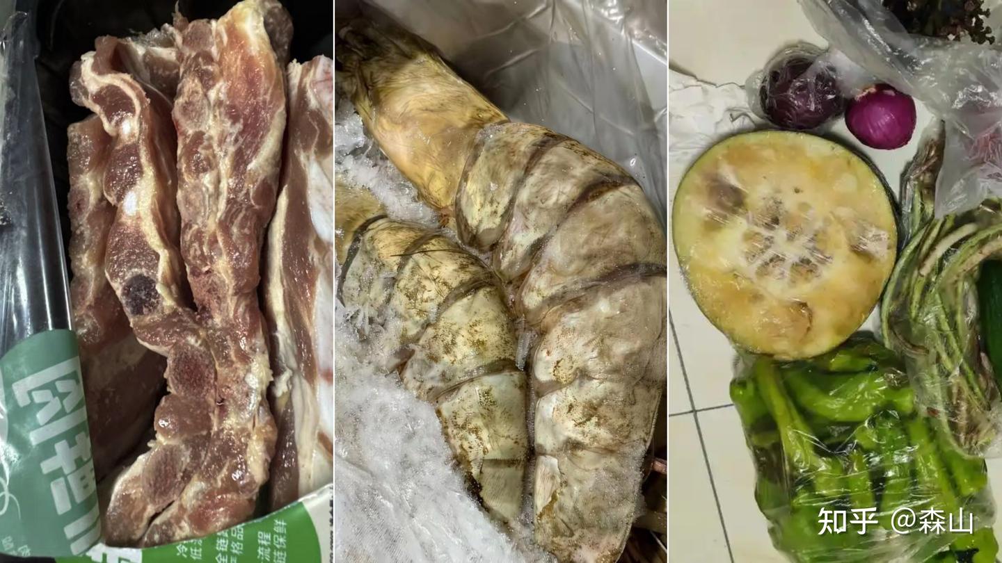 美的&知乎联合发布“2026中国家庭全食材原鲜新标准(白皮书)”——深入浅出解读美的冰箱原鲜方案中的7个重点保鲜技术