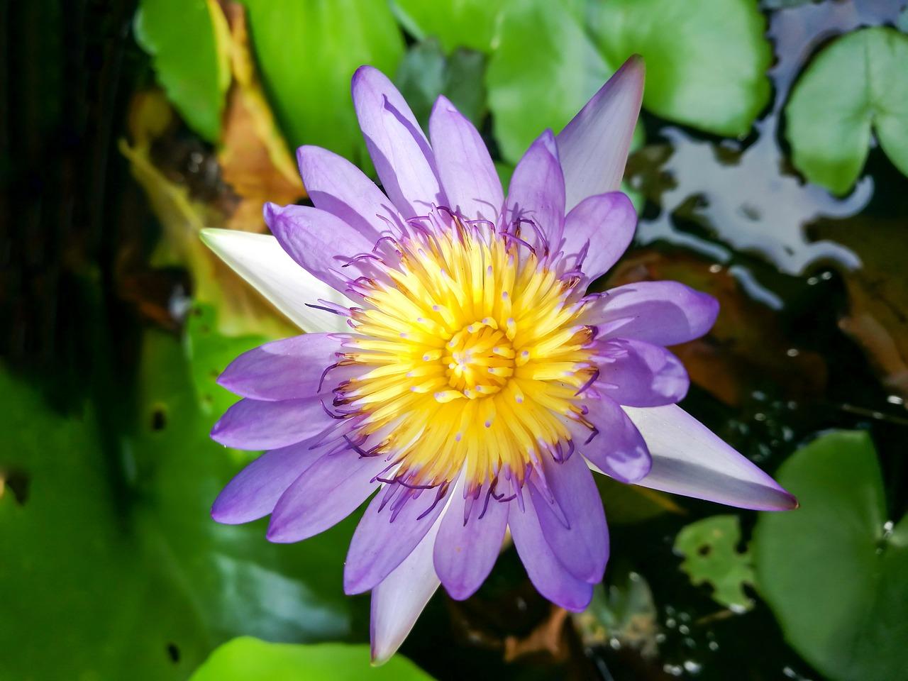 室内游泳多少温度不冷