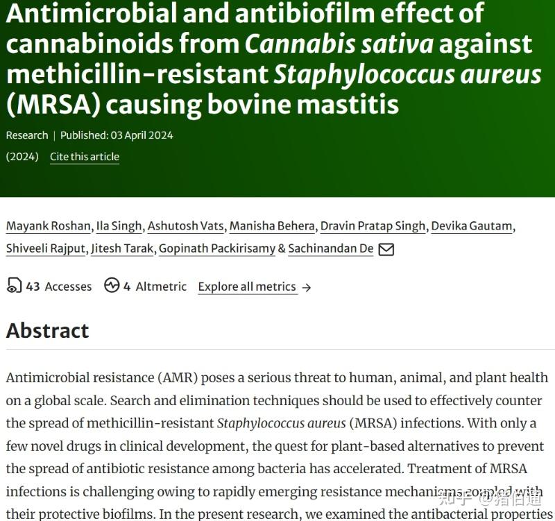 2024年新近研究 大麻中的大麻素对引起牛乳腺炎的耐甲氧西林金黄色葡萄球菌（mrsa）的抗菌和抗菌膜作用 - 知乎