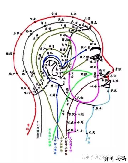 贝奇养发 - 知乎