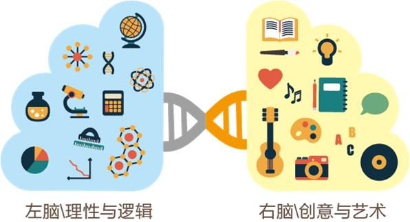 左右脑负责啥 v2-a8b4451a89dfbe01da7bc702007c071c_r.jpg