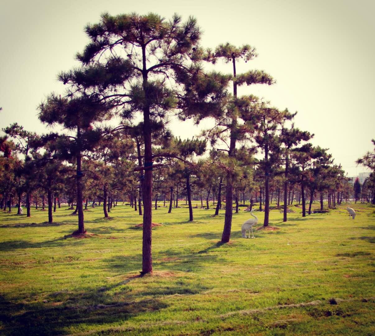 张家湾生态陵园