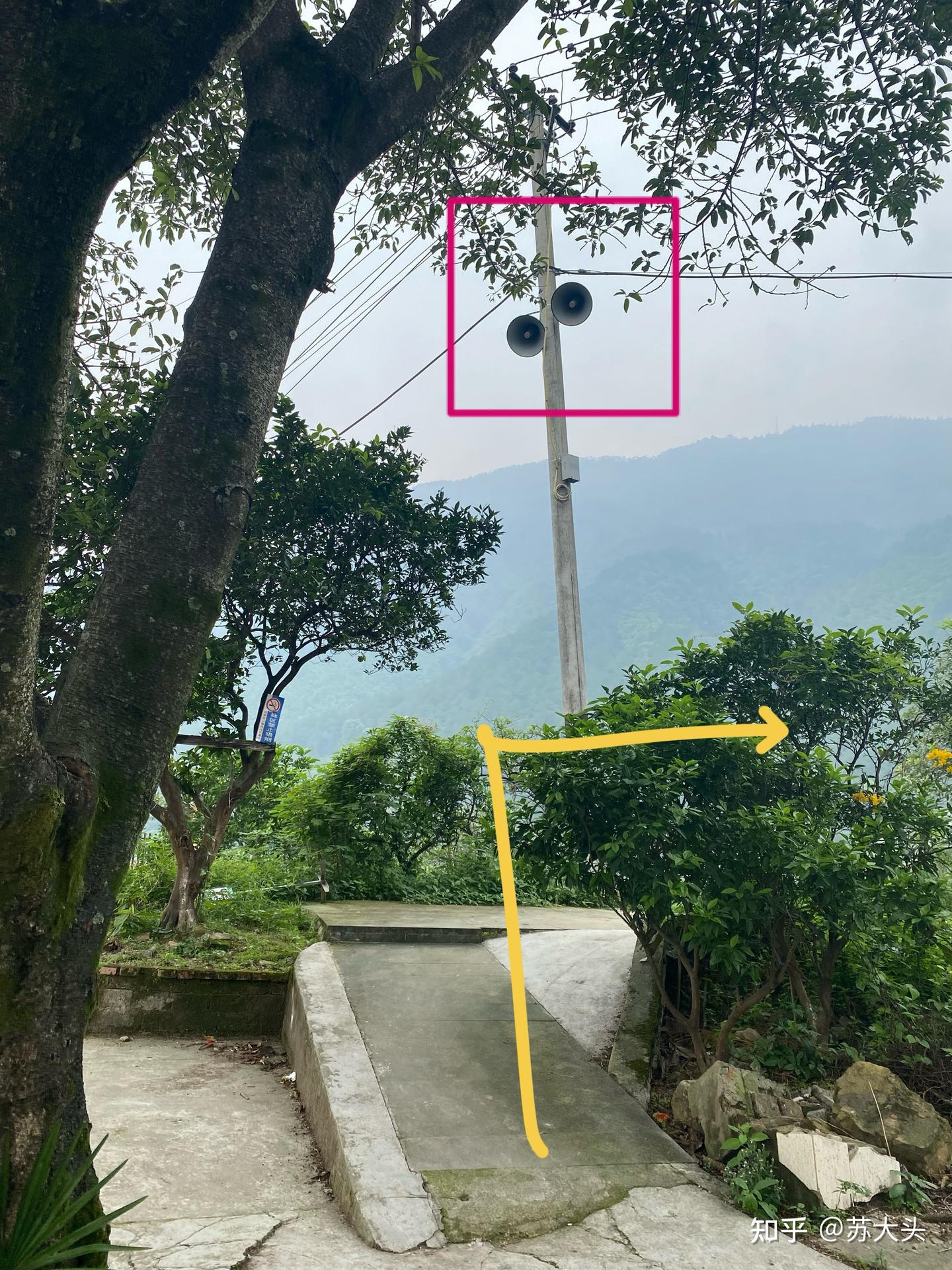 重庆徒步爬山圣地：缙云山免门票上山详细路线指引 - 知乎