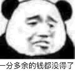 熊猫表情包沙雕系列 v2-a8d75a0f5888c652d4f1fde86564261c_b.jpg
