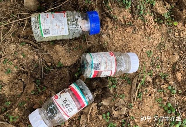 邢台板栗风情园里垃圾农药瓶子乱扔