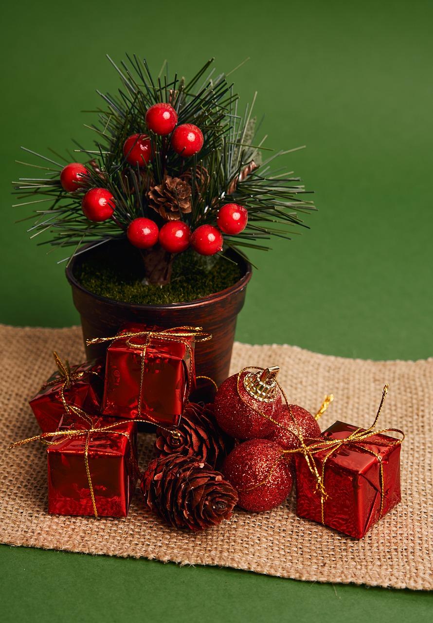 时光穿越:家乡新貌一瞥