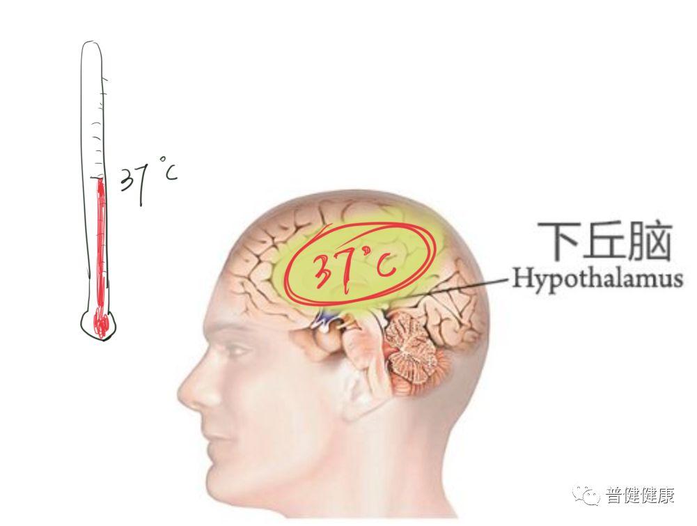 宝宝发热怎么办? - 知乎
