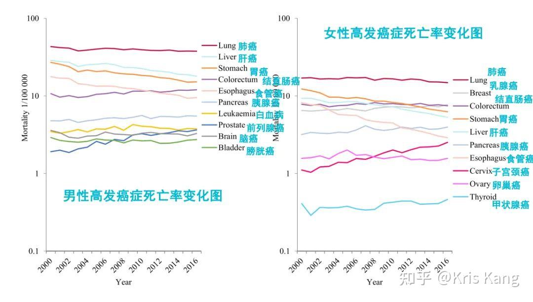 乳腺癌發病率增長,可能與缺乏運動,肥胖有關,從2004年到2018年,中國