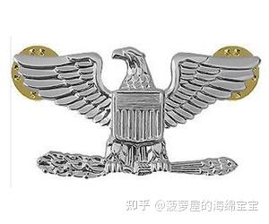 为什么美军军衔标志中银色等级高于金色? - 知乎
