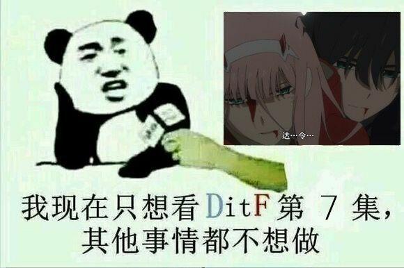 为什么B站主流Up主们对《京紫》和《DitF》评