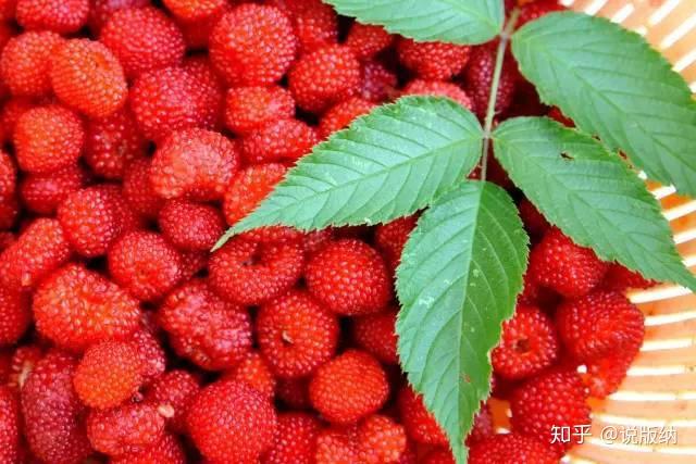 来看看我们云南的各种泡儿