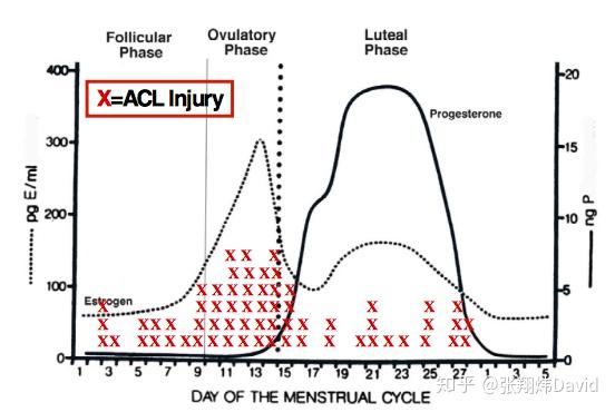 排卵期ovulatory的acl损伤最多因此,这段时间要加强训练的强度,但同时