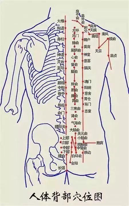 为什么公园里的大爷都喜欢蹭后背?原因在此