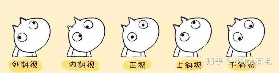 对眼儿猫看到的世界什么样？ - 知乎