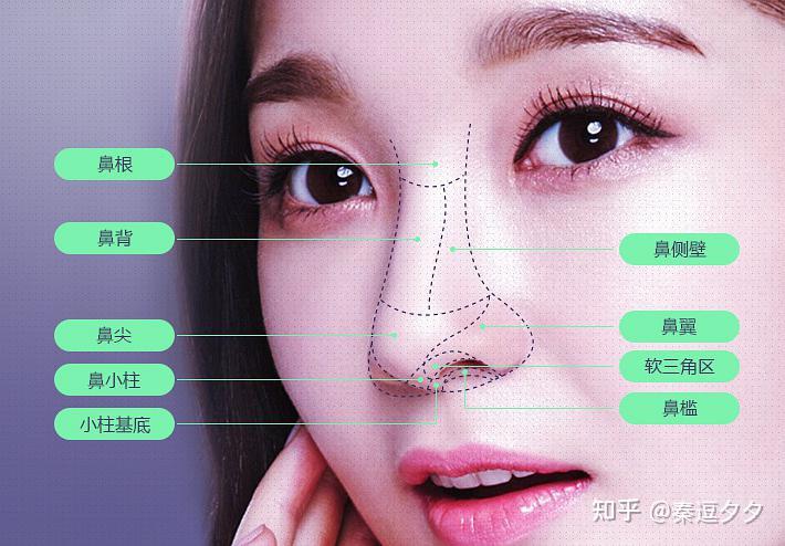什么鼻子 zhuanlan.zhihu.com