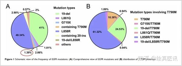“绘”解读“真”报告 | 肺癌检出原发EGFR 19del+T790M共突变，多角度指导患者诊疗 - 知乎