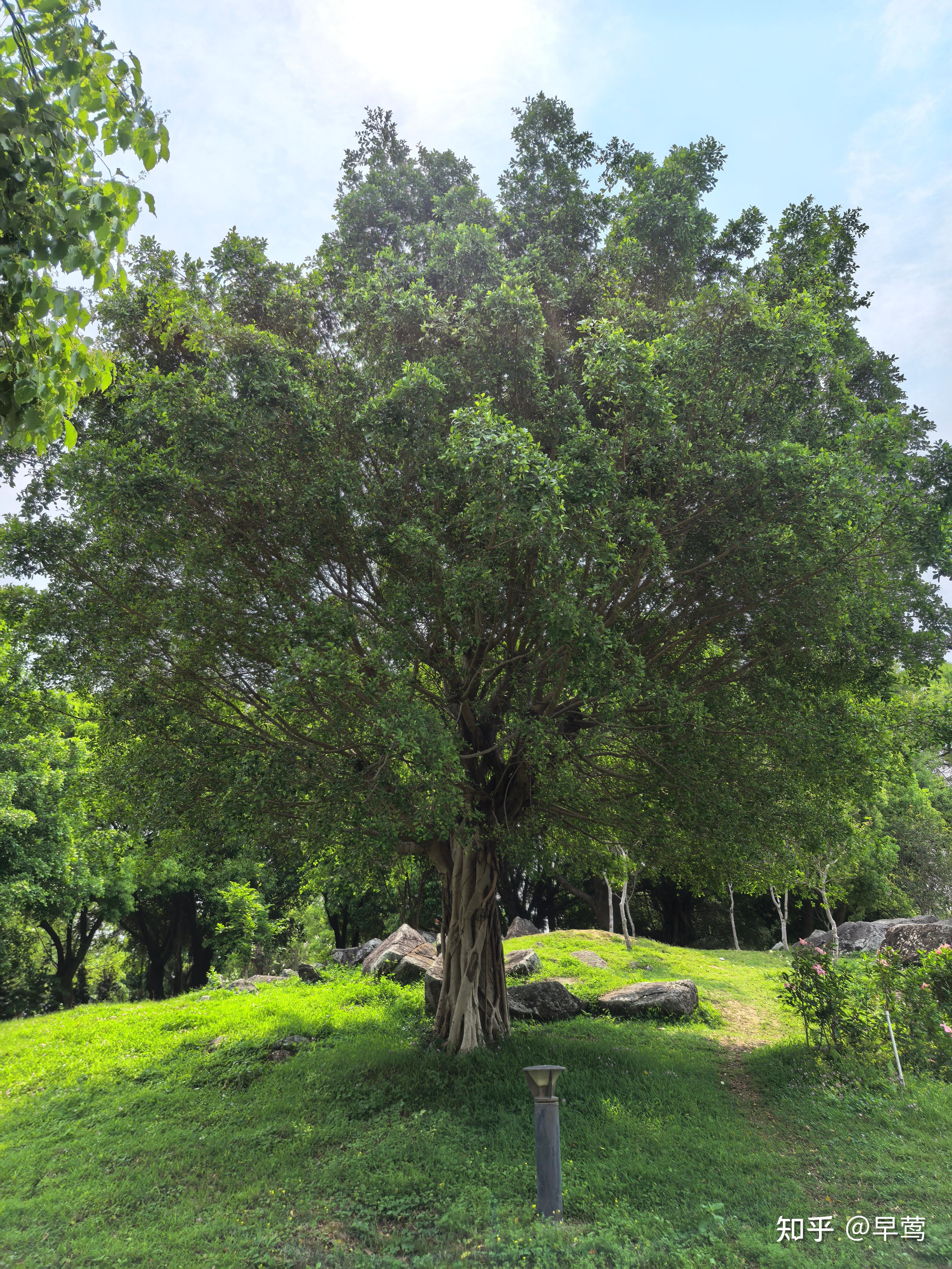 对于一个各方面都很普通的民办本科毕业生而言一毕业
