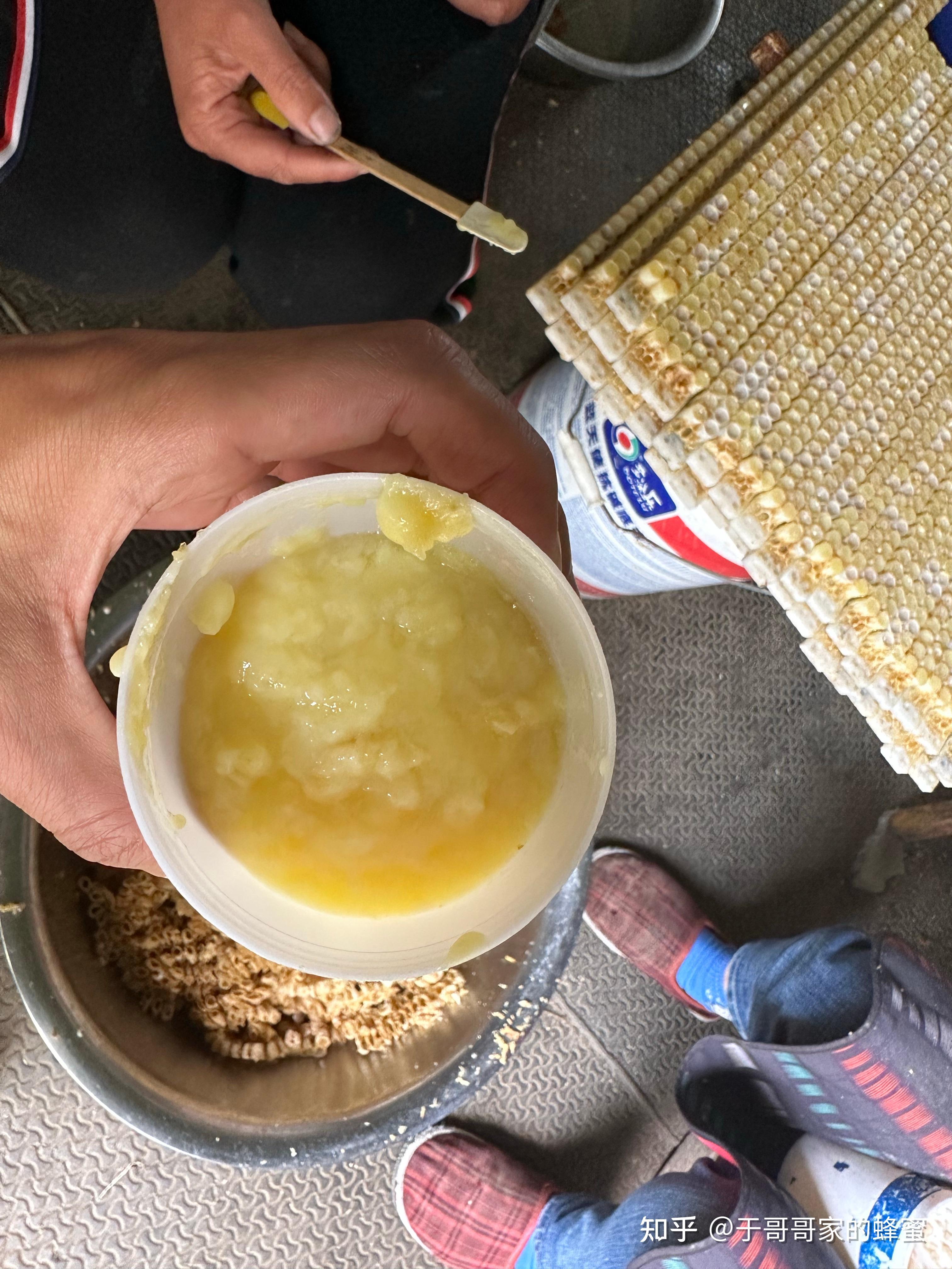 蜂蜜孩子吃好吗(蜂蜜孩子吃了有什么好处) 蜂蜜孩子吃好吗(蜂蜜孩子吃了有什么好处)