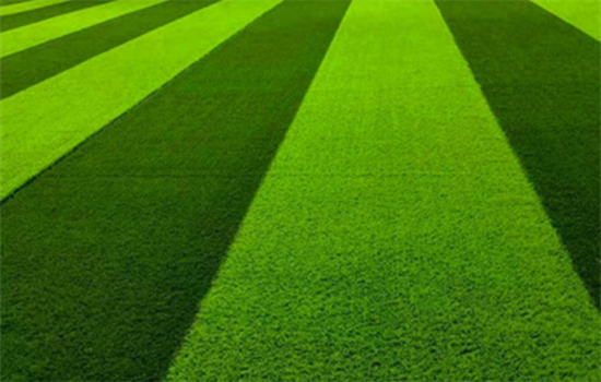 体育场建造人造草坪注重事项盘点材料工艺选择都要慎重