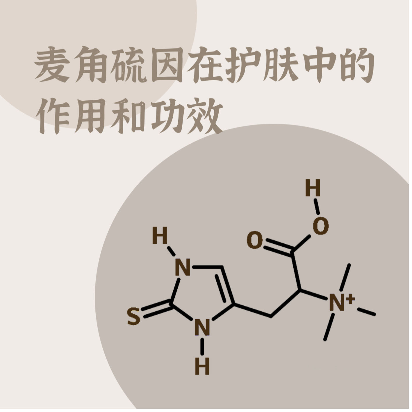 科普 | 护肤界的“明星”——麦角硫因到底是什么？ - 知乎