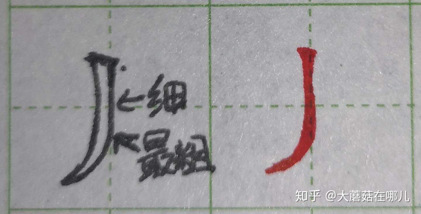 硬笔笔画练习之撇画 - 知乎