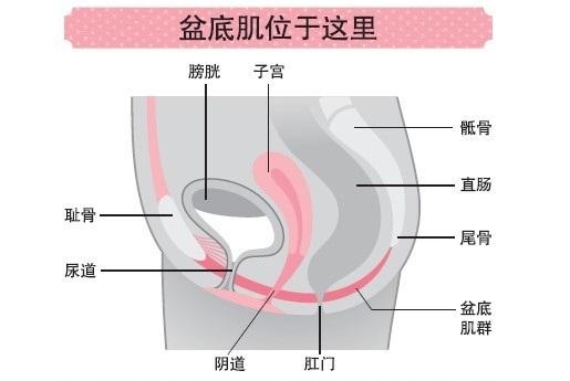 v2-a98418ac1b50ce55064993e0336926ad_1440w.jpg?source=172ae18b